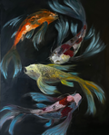 Koi fish II