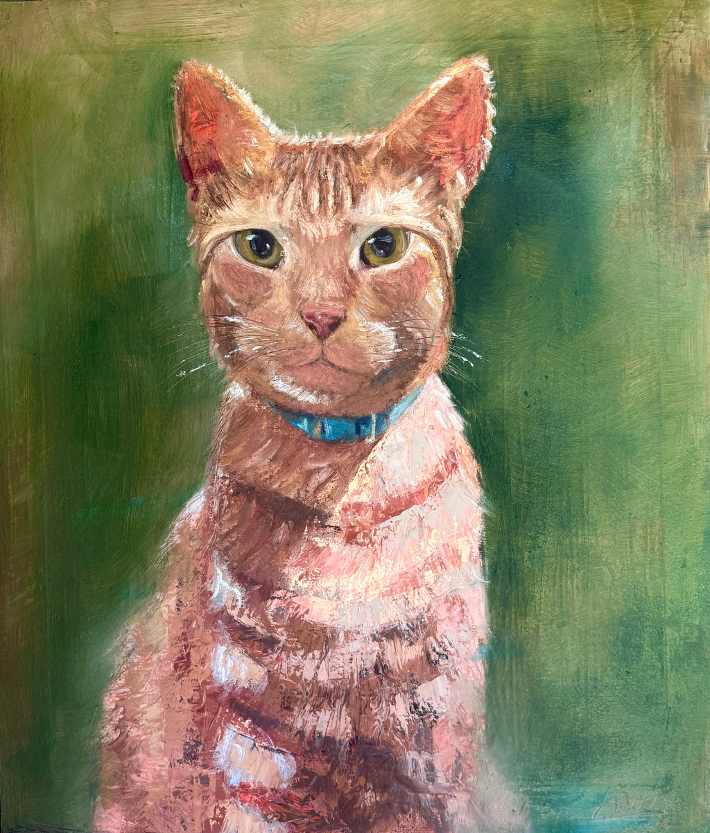Mi gato naranja